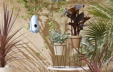 Sonstige Blumentöpfe Outdoor