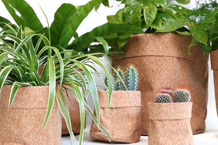 Pflanz- und Aufbewahrungsbeutel