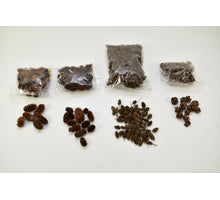 H.3 Ø7 cm Goldglühbirne Kerzenhalter