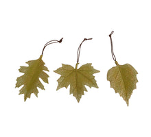 Vase bottle Ralph clear D-12 H-21,5 CM with corck