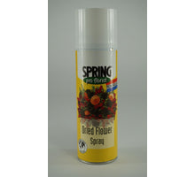 Frühling Trockenblumenspray 300 ml