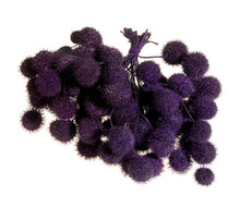 Platanen-Kugeln dunkelviolett