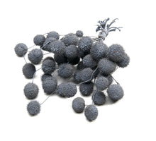 Platanen-Samenkügelchen, hellgrau