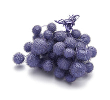 Platanen-Kügelchen, perlmuttartig-violett