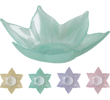 SCHALE GLASBLUME D22 H6CM 4 FARBEN SORTIERT