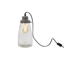 Robinia pseudoacacia grey 70cm