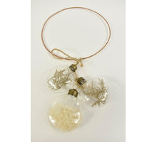 Ring Glas getrocknete Blumen innen transparent dia17.50cm