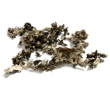 Flechten 'Black moss' 250g Natur