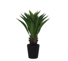 Agave im Plastiktopf grün - h80xd70cm