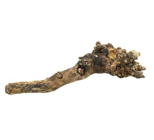 Holzstumpf ca.50-60cm natürlich