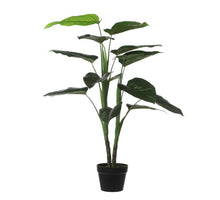 REHKALB 20 CM - SORTIERT - PRO STÜCK