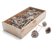 Kokosblüte gefrostet weiß 55Stück auf 10cm Stick