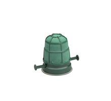 Box mit 4 Autocorso Mini 10x7 cm Oasis