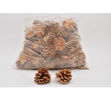 PINUS PINEA
GEMISCHT GEBLEICHTES POLY/75 ST.