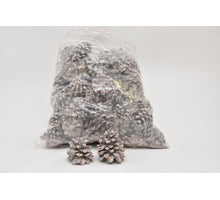 PINUS PINEA
GEMISCHT WEISS GEWASCHENES POLY/75 STÜCK