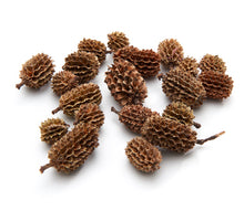 Casuarina naturel 400g