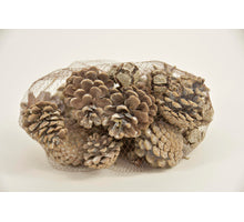 Kiefernzapfen gemischt 400gr im Netz