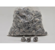 PINUS SILVESTERS 3-5 CM WEISS GEWASCHEN POLY/5 KG