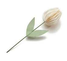 Tulpe 'Isabelle' cremefarben Ø7,5x30cm