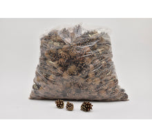 POPLAR BARK BUNDLE 80*12 CM NATURAL