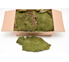 Teller moosgrüner Kasten ca. 2KG