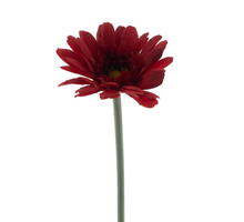 Gerbera Spray Minako rot 47cm