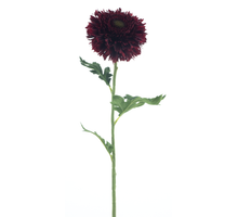 Wilde Gerbera Spray Burgunder 67cm