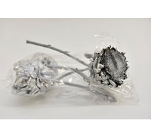 OCRA FRUCHT 15-20 CM.