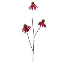 Echinacea-Spray rot 82cm