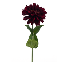 Zinnia Spray Rot 58cm