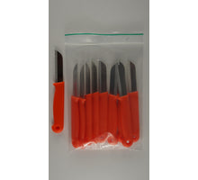 Tasche oder Karte mit 10 Schalen Orangen