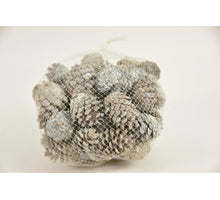 pl Tannenzapfen offen mini 500gr gefrostet