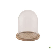 Stolp Glas mit Holzboden Ø17x25cm Transparent