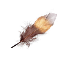 cb. 16 Gänsefedern braun gold/silber 14-16cm