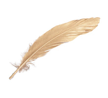 cb. 12 Gänsefedern gold 16-18cm