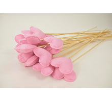 Trommelstokken geel 10 stuks gedroogd