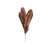 pb. 12 Gänsefedern/Stock weinrot 58cm