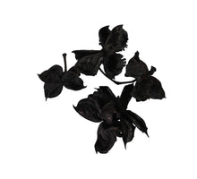 pb. Baumwollschoten schwarz 250 gr