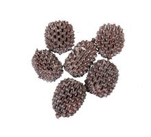 pb. große Casurina 200 Gramm rosa