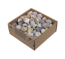 ca. 640 gr. Leucodendron-Sortiment, weiß gewaschen