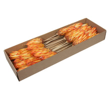 w/b. 25 repens/Stängel orange