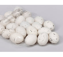 Kiebitz-Eier Plastik 6 cm Weiß - 24 Stück