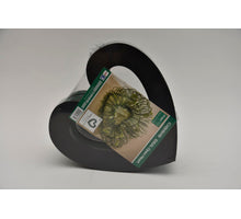 Oasis offenes Herz 22 cm Packung mit 4 Stücken