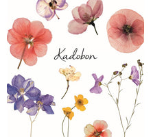 Packung mit 12 Geschenkgutscheinen mit Feldblumen