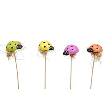 Teelichthalter Juteglas mit Muscheln Ø8x8cm Gemischt