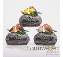 VÖGEL WILLKOMMEN AUF STEIN M/MUSIK 3 ASS