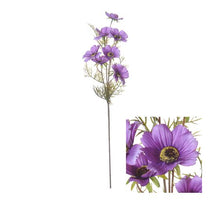 Flowerstem Kosmos 72cm Lila