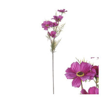 Flowerstem Cosmos 72cm dunkelrosa