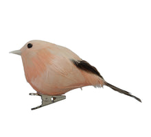 w/b. 8 Vögel/Clip orange 10 cm