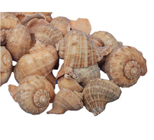 St. 1 Bündel braune Haut gespalten 400gr. gefrostet weiß 100cm